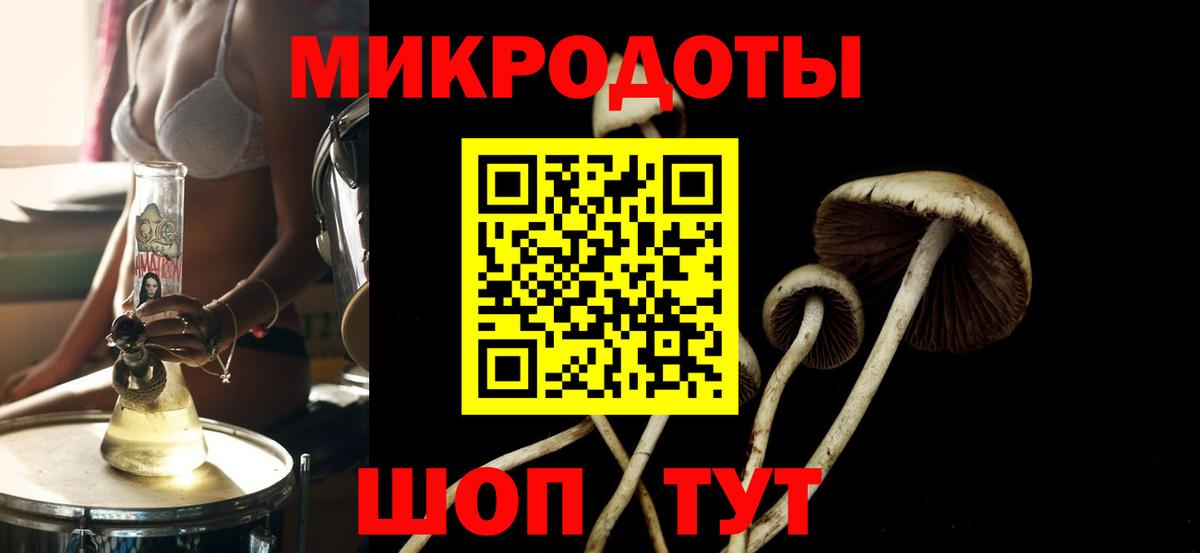 Псилоцибиновые грибы GOLDEN TEACHER Новокузнецк