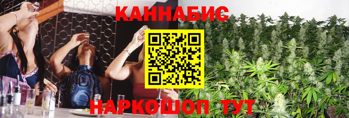 Бошки марихуана семена Новокузнецк